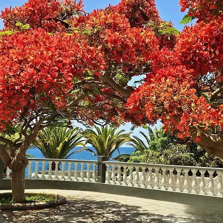 Apartment Romantica Ocean Retreat *